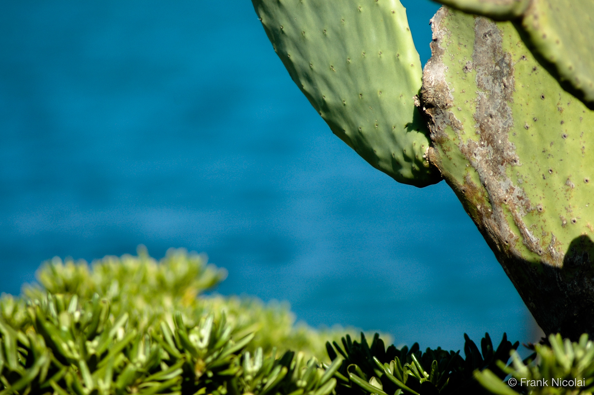 PostProduction_DSC_0115