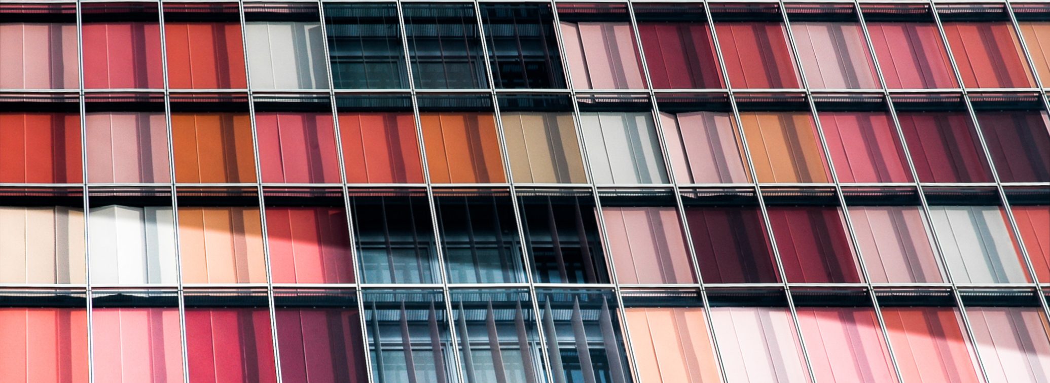 Print_Cropped_DSC_0186